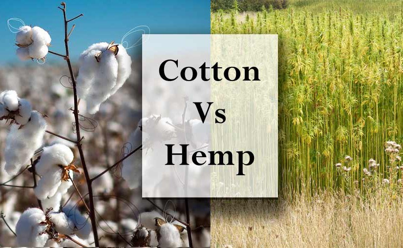 Hemp VS Cotton